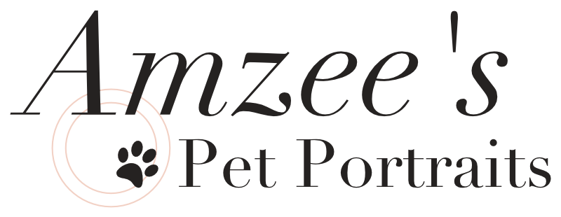 Amzee's Pet Portraits